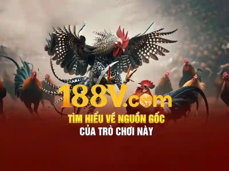 Quy Trình Đăng Nhập 188V