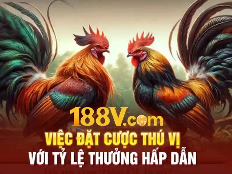 188V – Đánh Giá 188v Có Lừa Đảo Không 2026