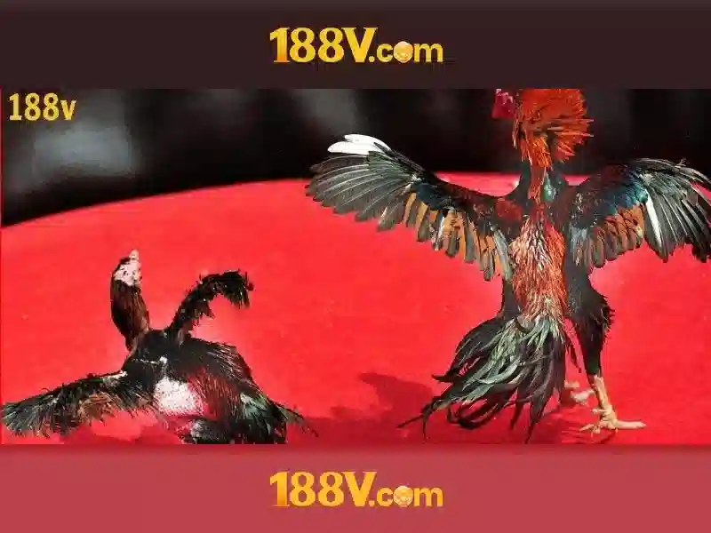 Đánh Giá 188V – Trải Nghiệm Slot Đỉnh Cao Không Thể Bỏ Lỡ