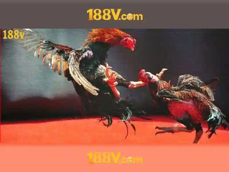 Giới Thiệu Cổng Game Slot 188V Đỉnh Cao