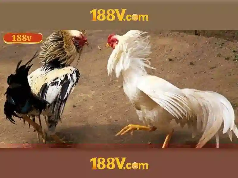 dịch vụ nạp tiền 188v