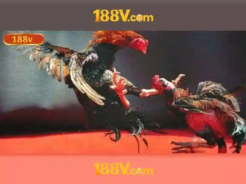 188V – Trải Nghiệm Slot Đỉnh Cao Với Nhà Cái 188v Chính Thức 2026