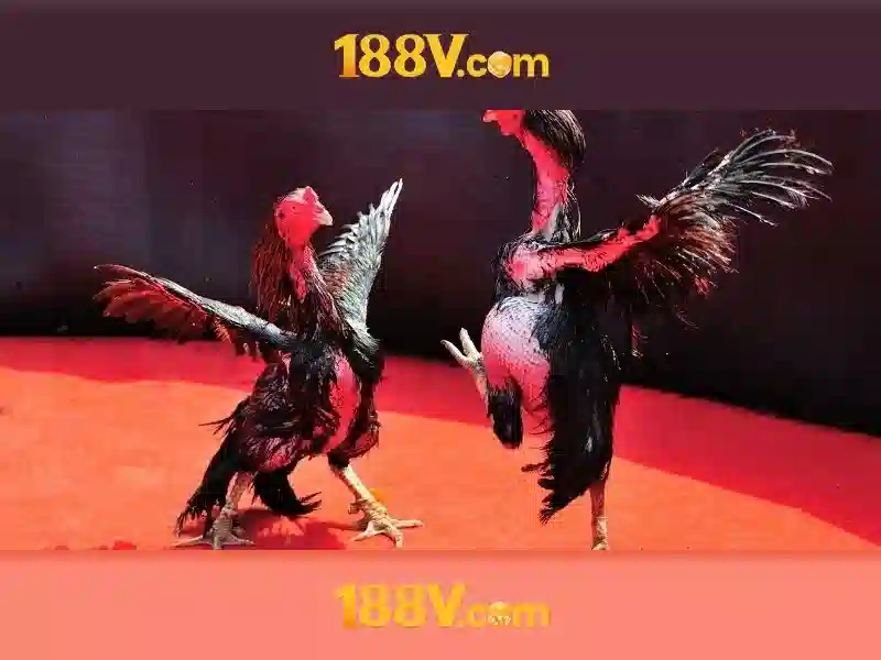 Ưu Điểm Nổi Bật Của Link 183v