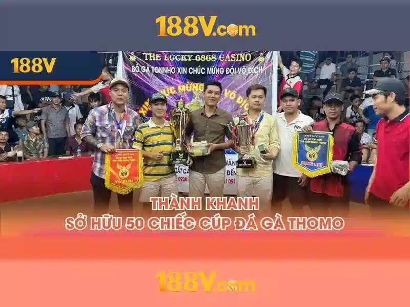 Hỗ Trợ 24/7
