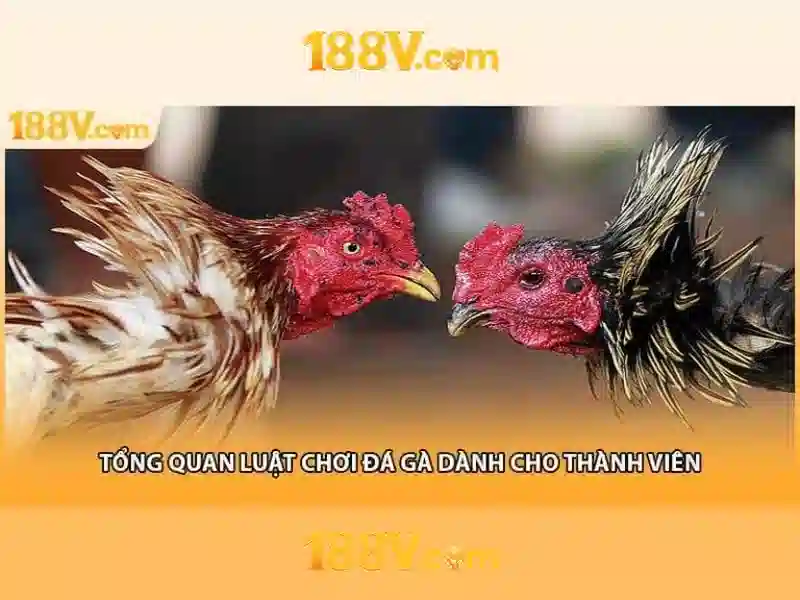 Tại Sao Nên Chọn Game Slot 188V