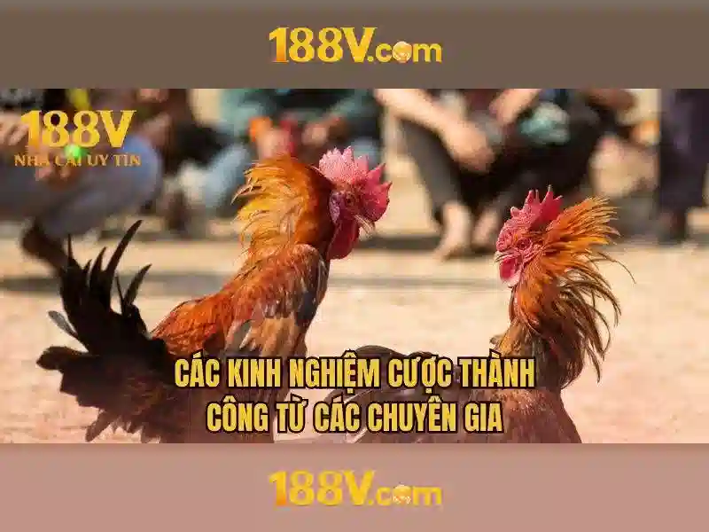 Cách Truy Cập Slot 188V