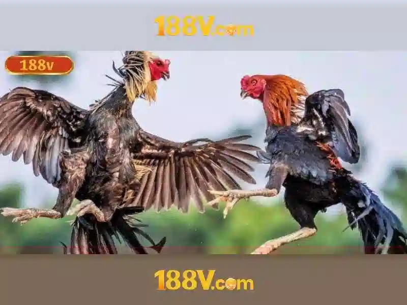Hướng dẫn chơi Slot đơn giản