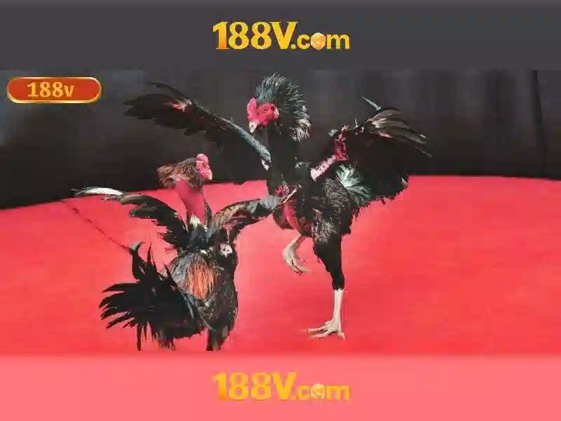 Hướng Dẫn Đăng Ký 188V