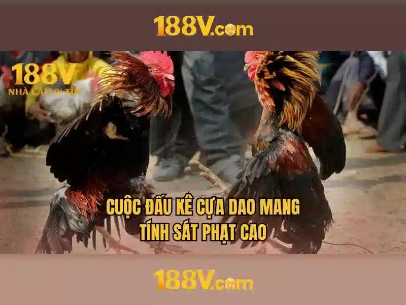 Các loại game slot đang hot nhất 2026