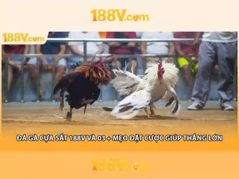 Quy Trình Đăng Nhập 188V
