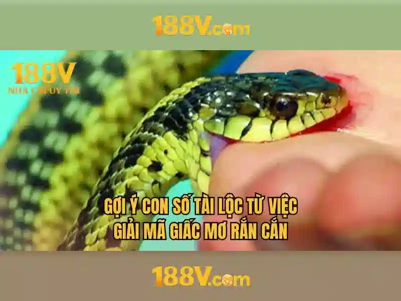 Hướng Dẫn Đăng Ký 188V