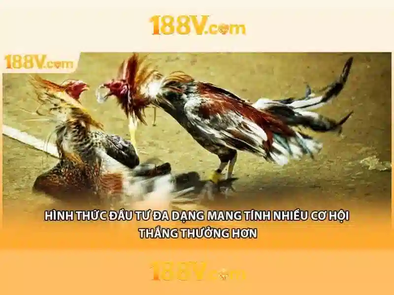 Trải nghiệm cá cược Slot đỉnh cao