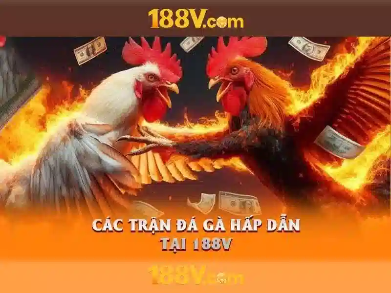 188V – Link Vào Trang Chủ 188V Chính Thức Không Bị Chặn 2026