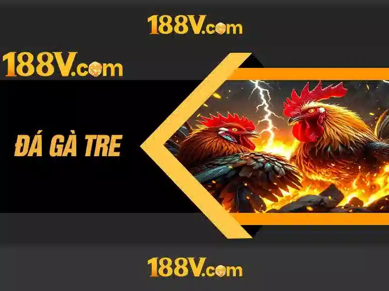 Trải Nghiệm Slot Không Bị Chặn