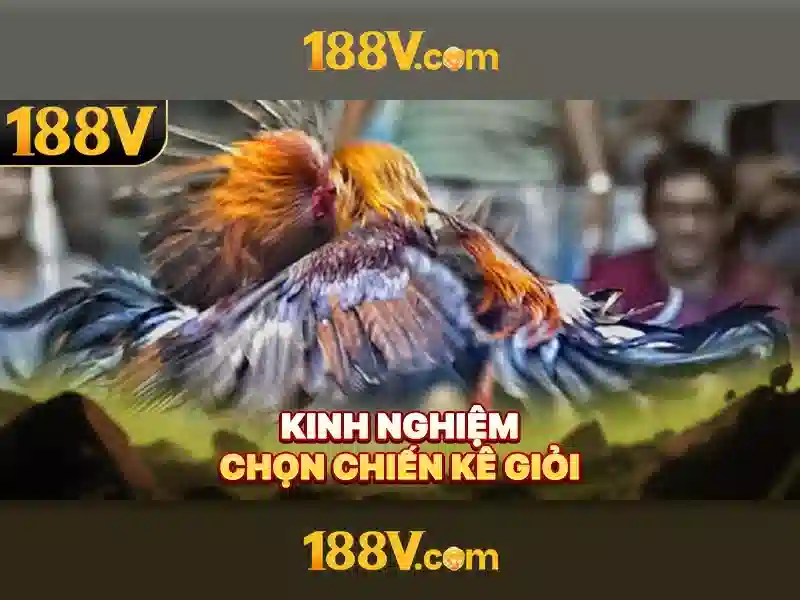 Slot Trực Tuyến