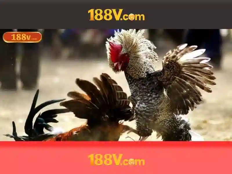 Trải nghiệm Slot đỉnh cao
