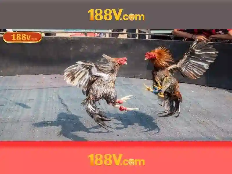 Trải Nghiệm Slot Đỉnh Cao Với 188v ios