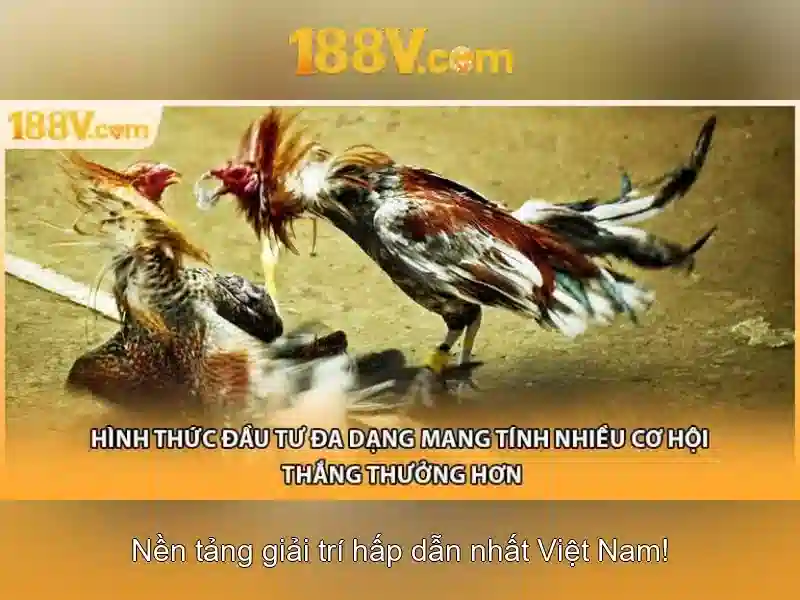 188V – Link Vào Trang Chủ 188v Chính Thức Không Bị Chặn 2026