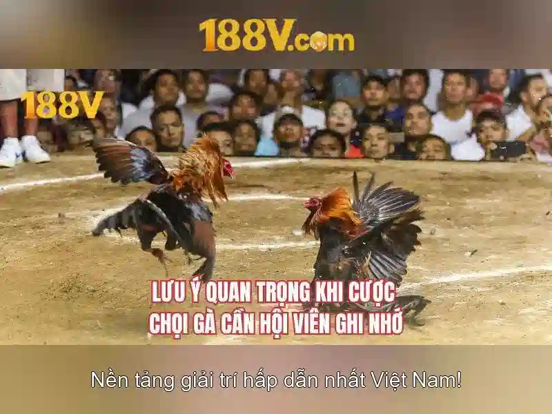 eSports 188v – Trải Nghiệm Đỉnh Cao Trong Thế Giới eSports