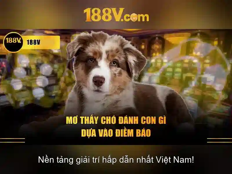 Ưu điểm 188V