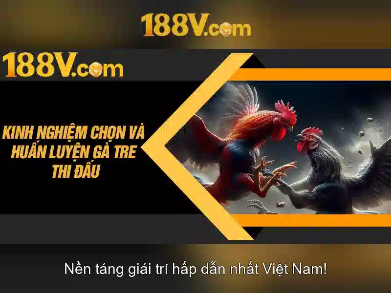 Bảo mật 188v