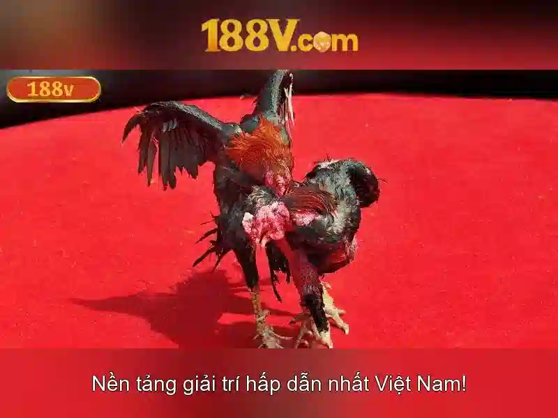 Hướng Dẫn Đăng Ký Và Trải Nghiệm Cá Cược Thể Thao 188v