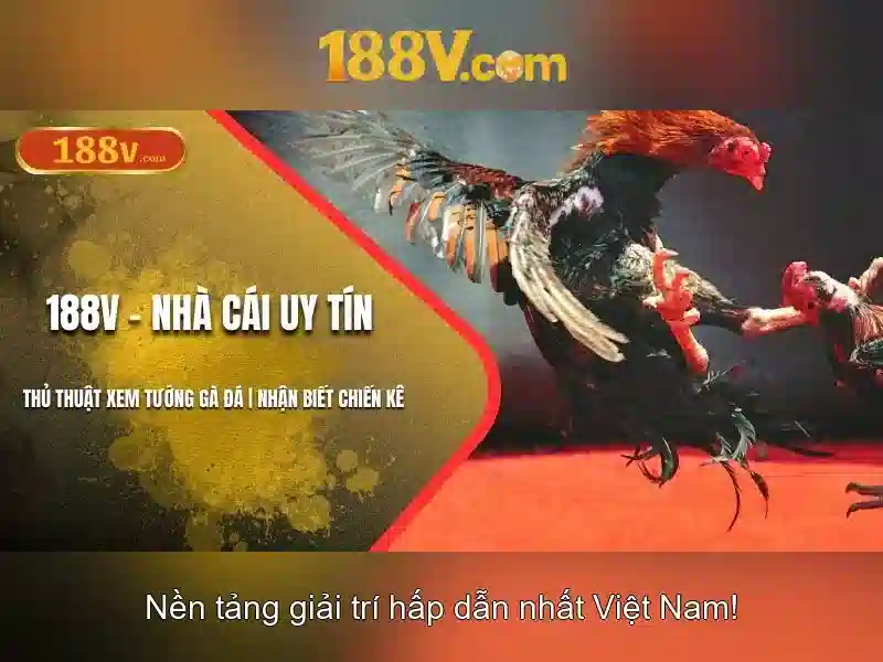 Hỗ Trợ 188V
