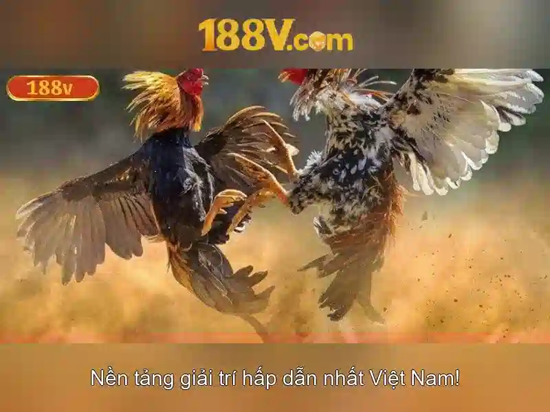 khuyến mãi cá cược thể thao 188v