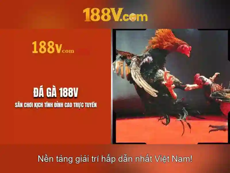Cá Cược Thể Thao 188V
