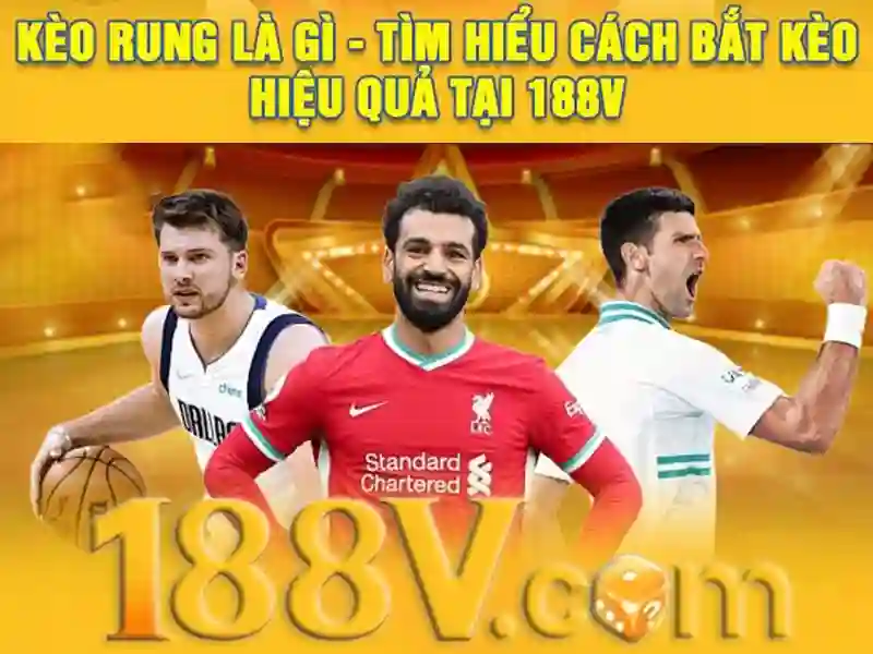 dịch vụ hỗ trợ