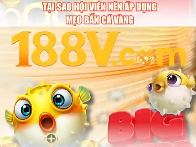 Chương Trình Ưu Đãi 188V