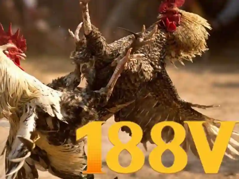 Trải Nghiệm Chơi Game 188V